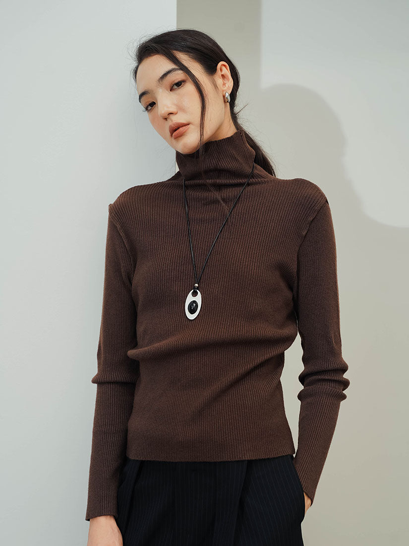 Brown Turtleneck Rough Knit Top
