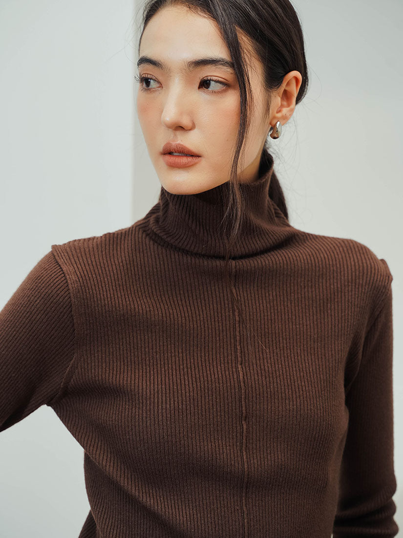 Brown Turtleneck Rough Knit Top